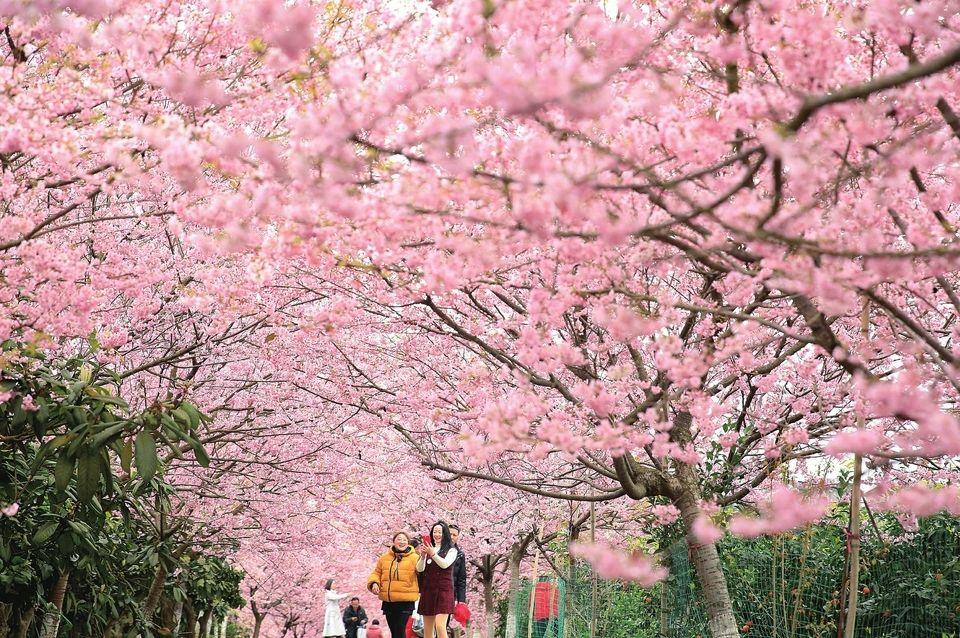 二月南山集團最新動態全解析,指南與步驟詳解