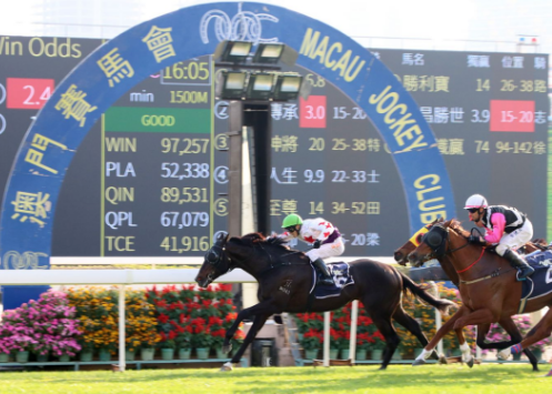 2024年香港買馬資料,策略規劃_傳承版22.127