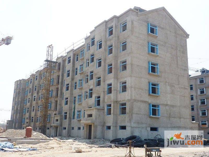 官羊新村最新動(dòng)態(tài)更新，最新消息匯總