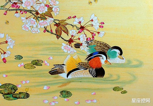 白小姐三肖三碼必中生肖圖,精細化方案決策_輕奢版44.781