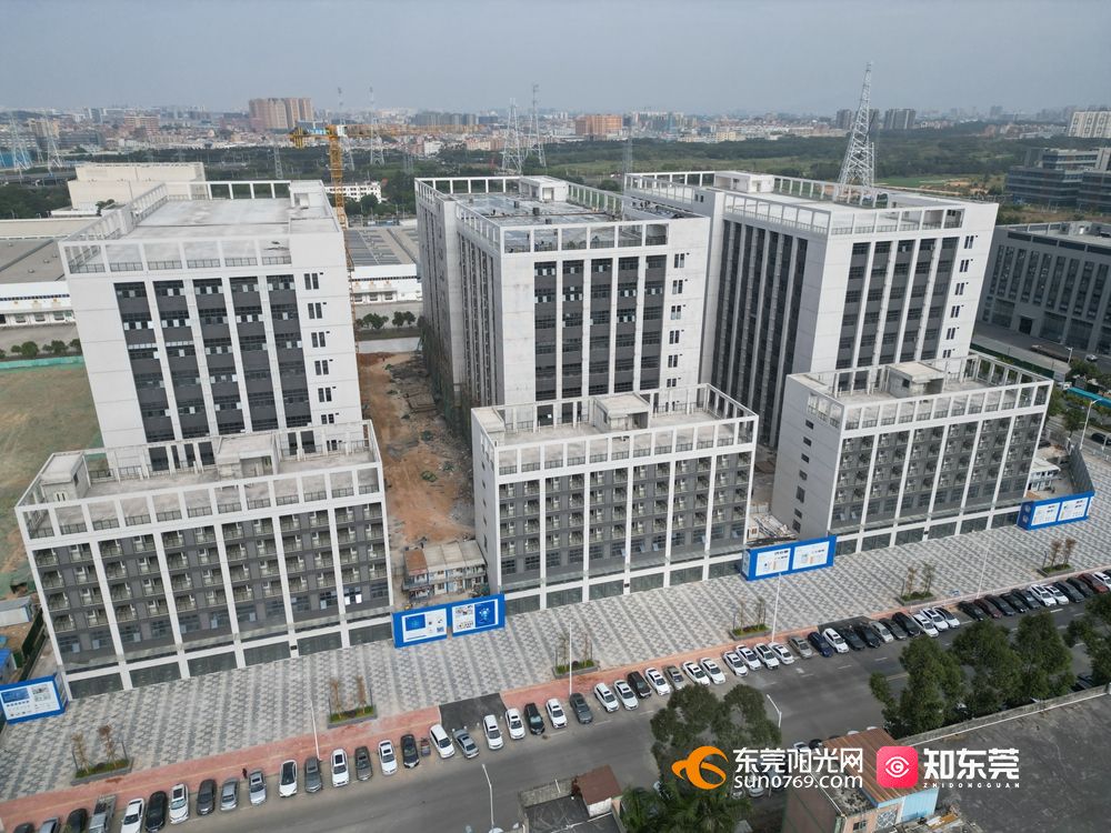 東莞新區發展最新進展更新