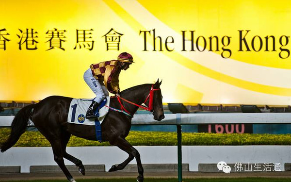 2024香港賽馬全年免費資料,最新答案詮釋說明_閃電版99.103