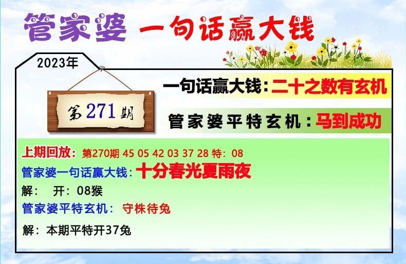 202管家婆一肖一碼,效率評估方案_廣播版6.445