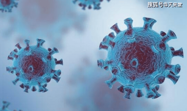 新澳今晚開什么號碼,專家解析意見_原汁原味版84.214