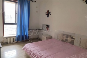 陽高出租房最新信息，追夢者的溫馨驛站與成長舞臺