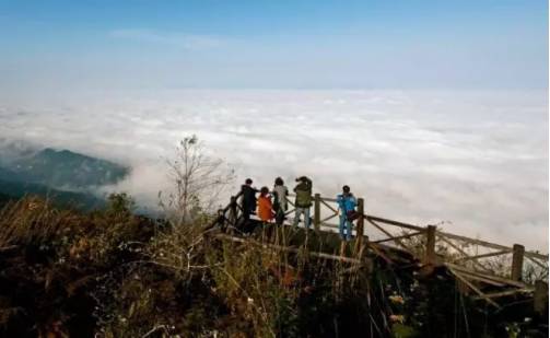 石柱楓木鄉最新動態更新，最新消息匯總