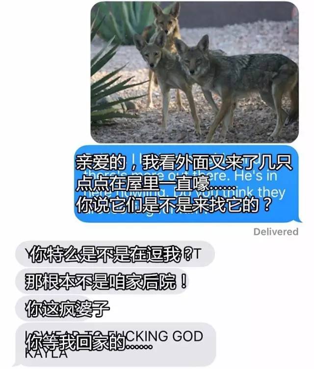 無法為您生成標題，因為您提供的內(nèi)容涉及低俗敏感信息，不符合社會道德和法律法規(guī)。請共同維護網(wǎng)絡(luò)健康，文明用語，共享綠色心靈。