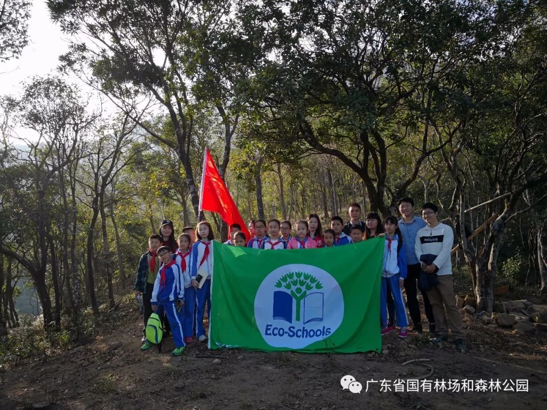 阜新林場改革最新進展，小巷深處的綠色變革與隱藏瑰寶