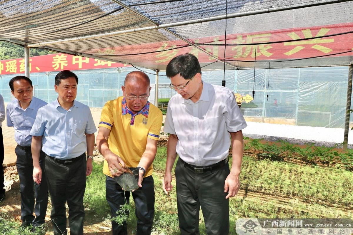 都安新聞最新動態，小城里的溫馨日常故事