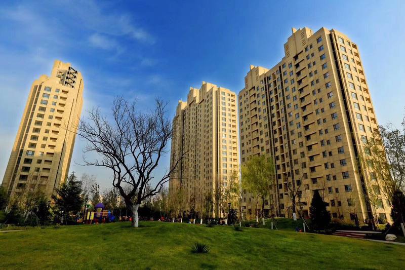 固安帝寶壹號最新價格動態，價值變化與自我成就的學習之旅