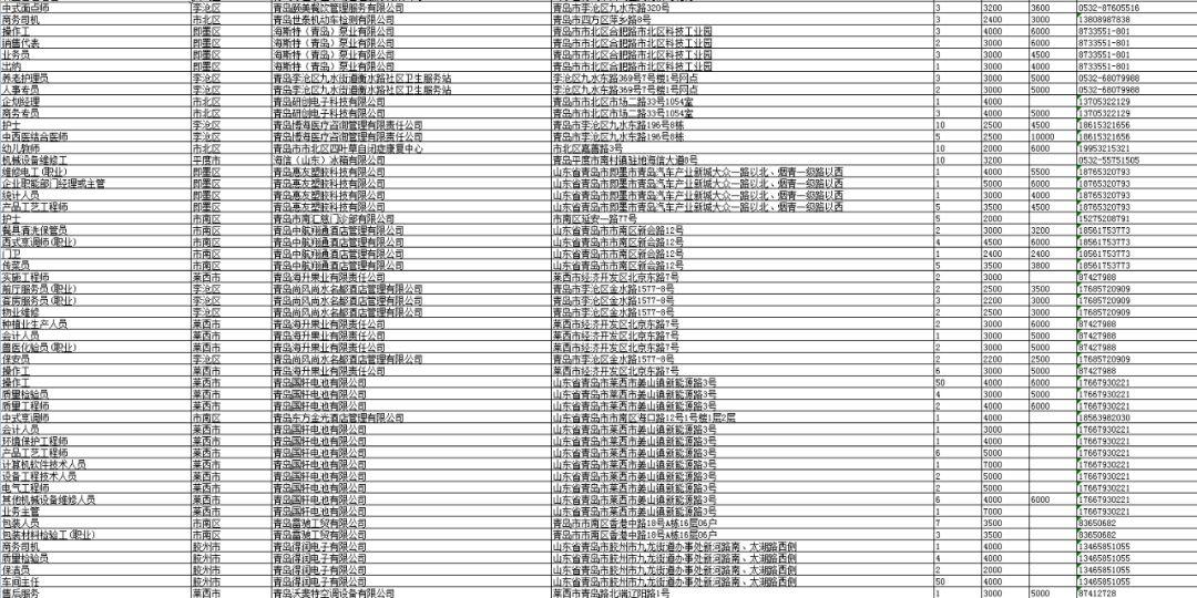 青島招聘信息最新招聘信息,青島招聘信息最新招聘信息——科技引領未來，工作觸手可及