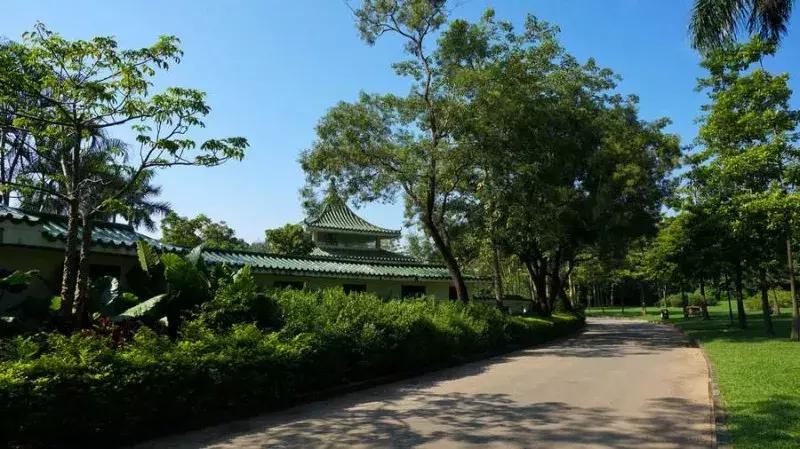 探索菠蘿奧秘，領略最新福利菠蘿的魅力