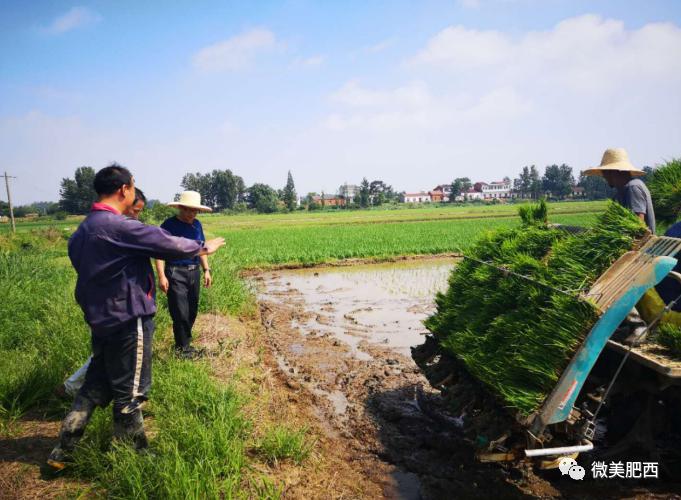 肥西最新汛情科技監測與智能預警,護航安全新生活