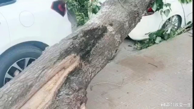 保健品 第371頁(yè)