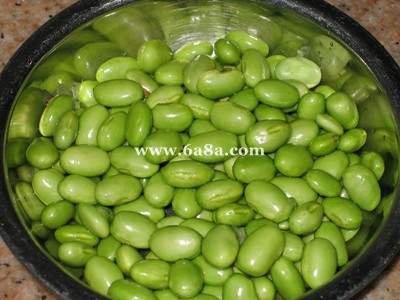 彩豆最新，數(shù)字世界的璀璨新星探索