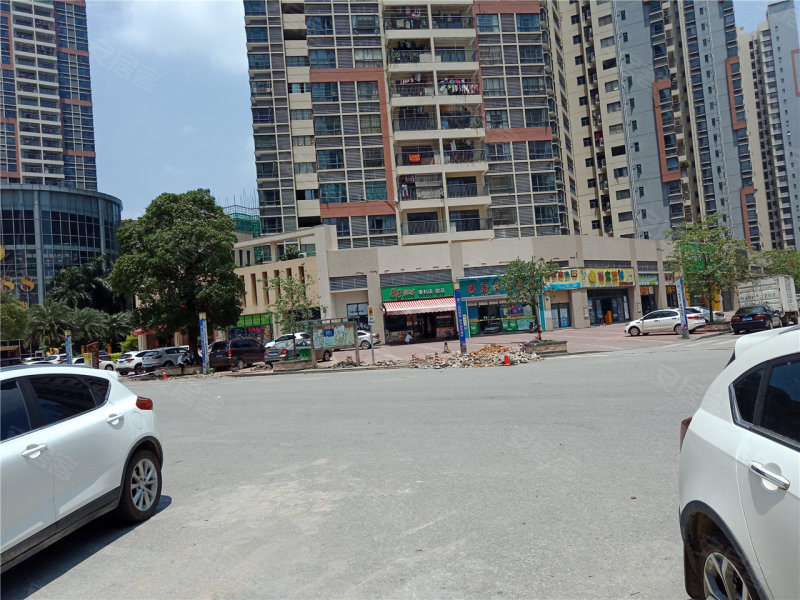 最新大旺,深度觀點闡述與解析