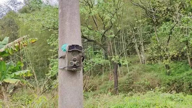 最新馬圖深度解析，背景、事件、影響與時(shí)代地位探討