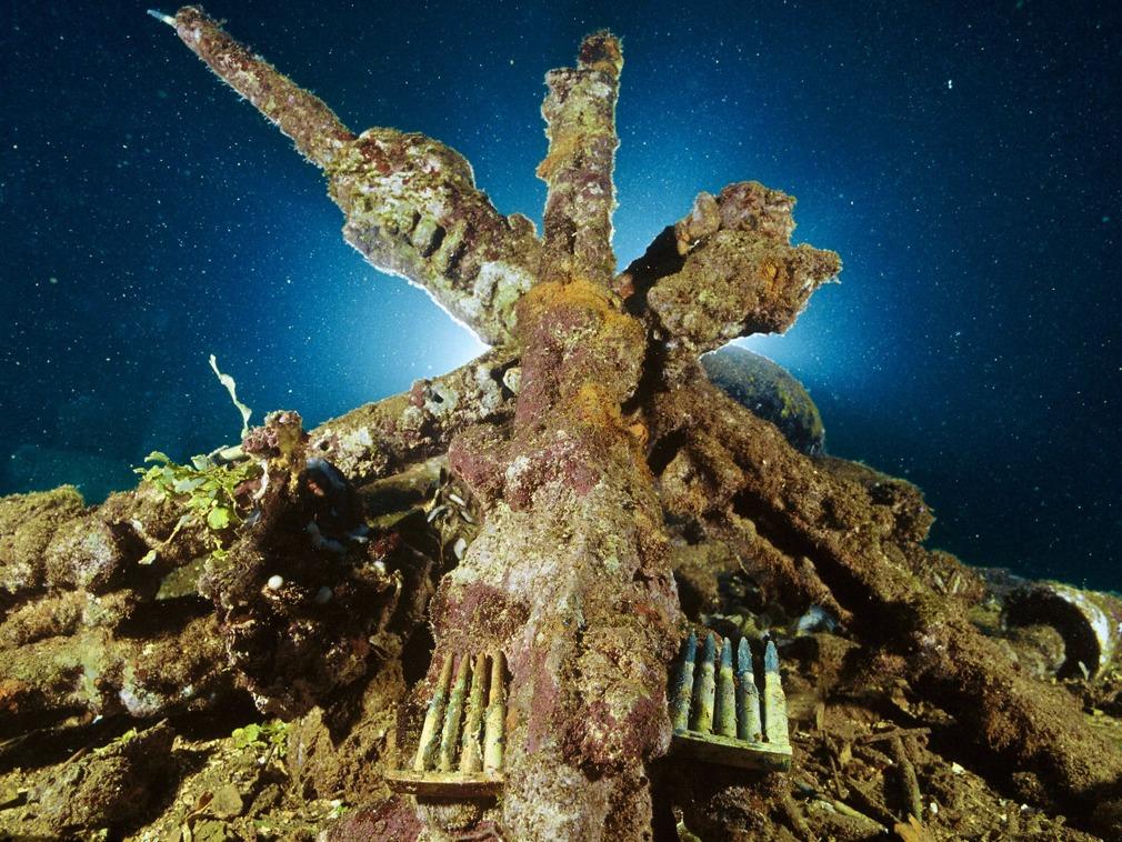 日本最新恐怖,背景、事件及其地位揭秘