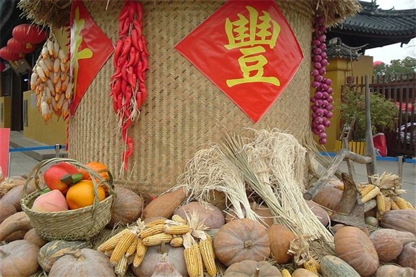 豐登最新圖片探索與賞析之旅