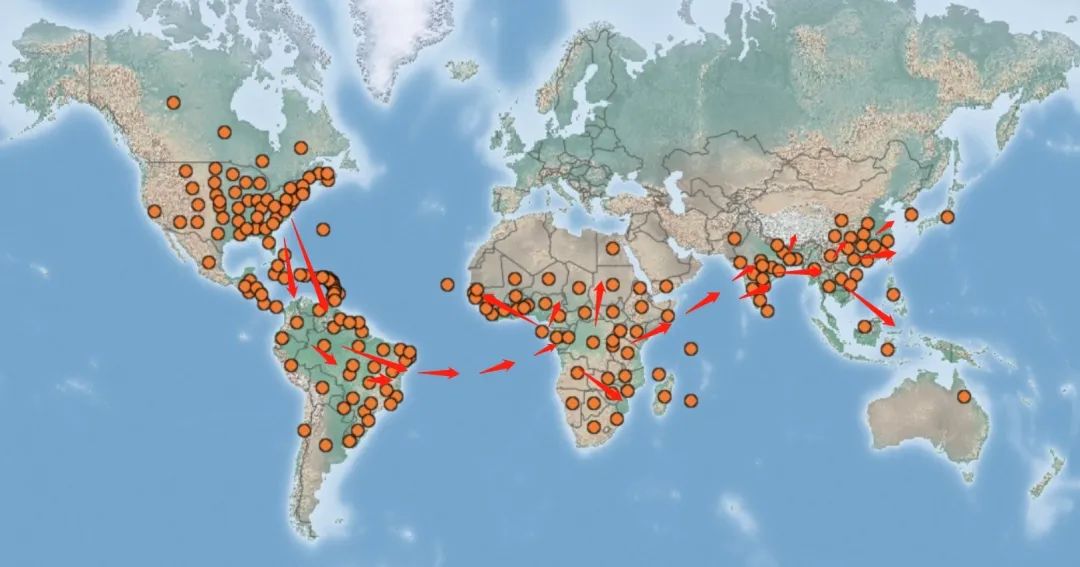 最新蝗蟲地圖背后的溫情故事