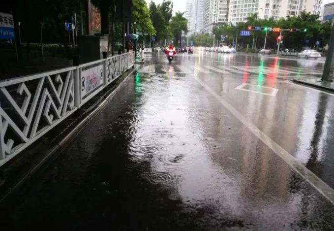 廣西最新臺風動態,逆風翱翔展現力量與智慧