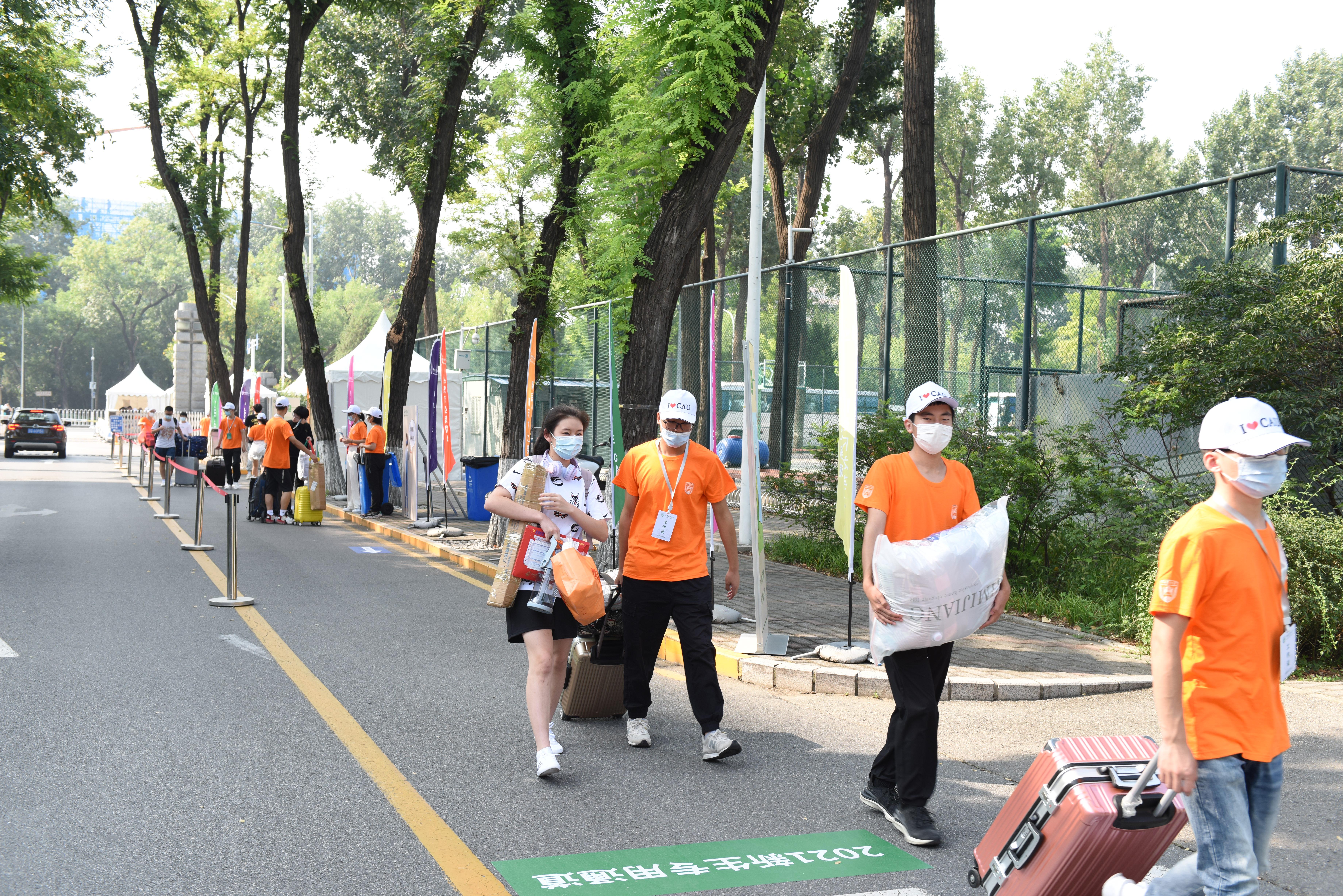 最新專業(yè)政策深度論述與解讀