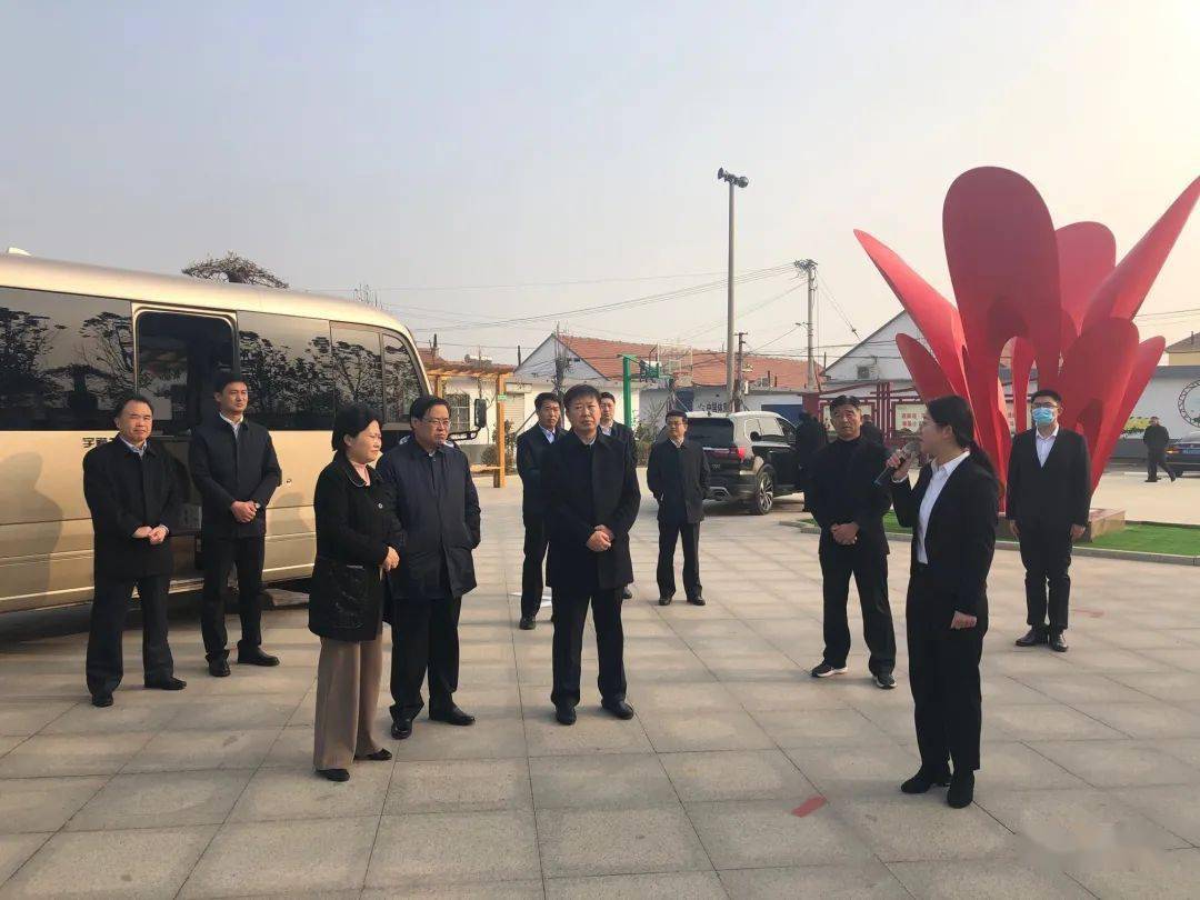 高密最新報道，自然美景之旅，探尋內心平和寧靜之道