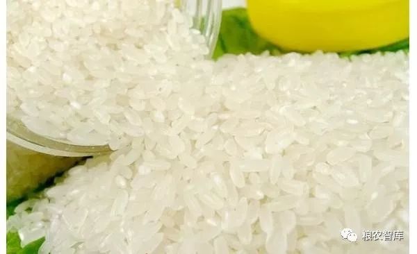 科技重塑稻米市場，最新大米價格與未來生活新體驗