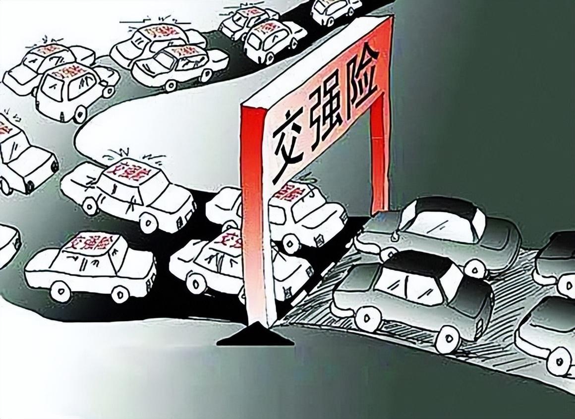 最新強險,最新強險，時代背景下的必然選擇