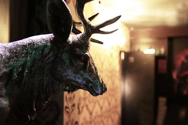 密室最新電影，啟程尋找內心的平和與治愈之旅探索自然美景