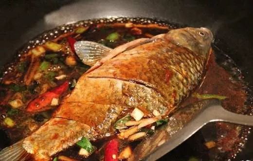 最新魚功能探索，與自然美景共舞，追尋內(nèi)心的平和與喜悅之旅