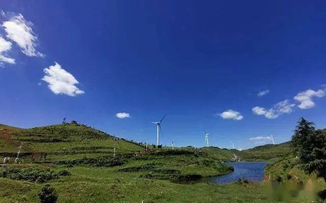 烏蒙山大草原最新動(dòng)態(tài)及探索揭秘