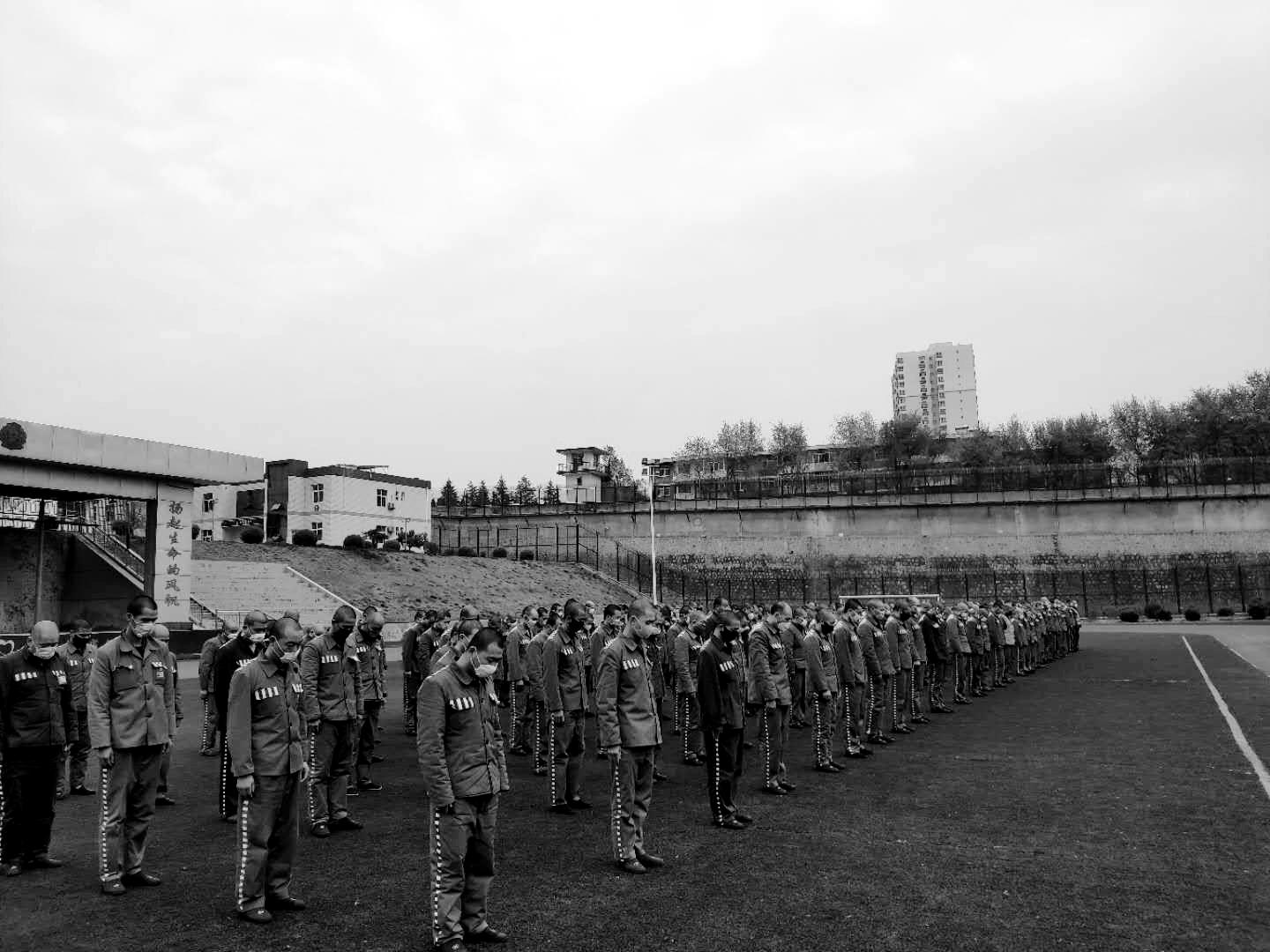 春暖花開之際，國內新冠肺炎疫情最新動態及共同守護家園的呼吁