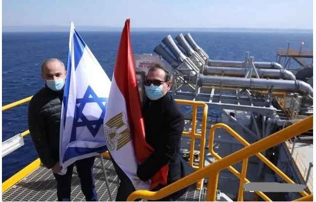 埃及情最新動(dòng)態(tài)更新