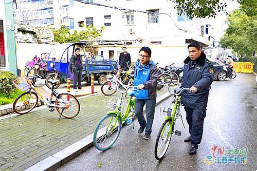酷騎單車最新退款通知,科技與生活的無縫銜接體驗(yàn)