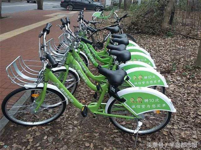 酷騎單車最新退款通知,科技與生活的無縫銜接體驗(yàn)