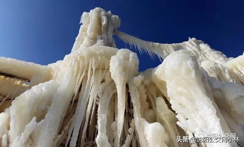 沈陽最新網紅打卡地,城市魅力新坐標揭秘!