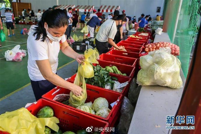 菲律賓最新疑似病例動態,奇妙日常觀察