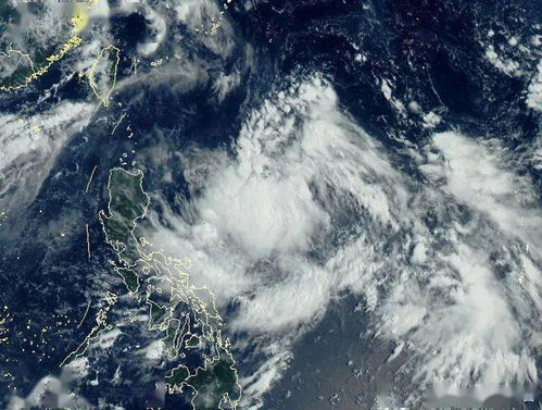 最新臺風動態解析,實時更新與防范措施指南