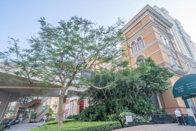 澳門全新開業盛況，探索最新體驗！