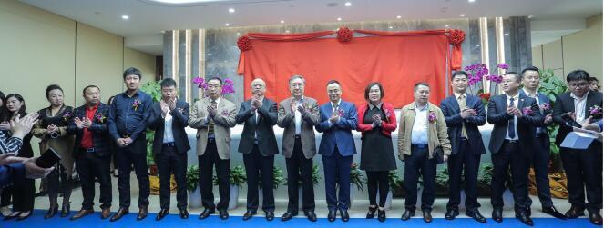 最新大宗商品龍頭股票,最新大宗商品龍頭股票,一場探索自然美景的治愈之旅