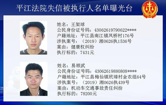 岳陽市最新老賴查詢與應對指南,初學者到進階用戶的必備指南