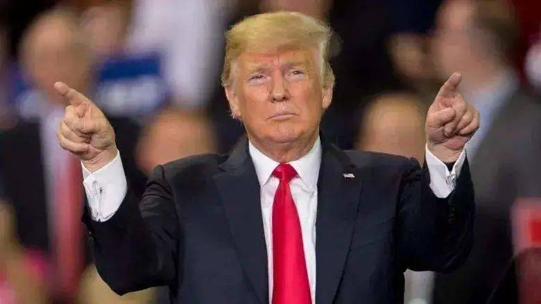 特朗普選舉最新結果及其溫馨小故事概述