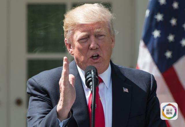 特朗普選舉最新結果及其溫馨小故事概述