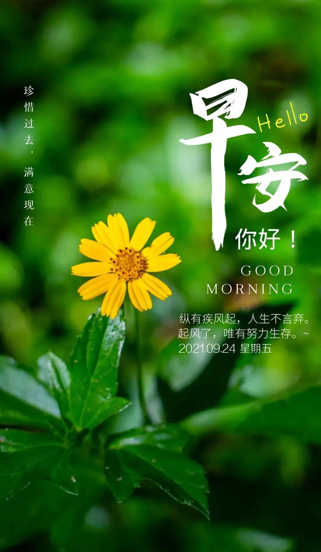 最新朋友圈分享,與大自然的約會,探尋內心桃花源