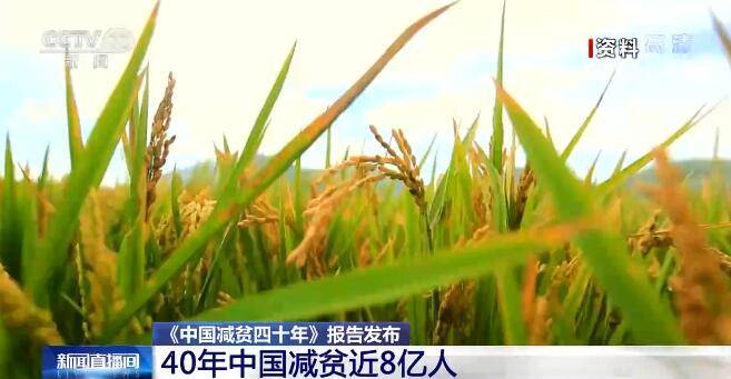 中國脫貧最新動態,持續推動脫貧攻堅成果鞏固與發展?