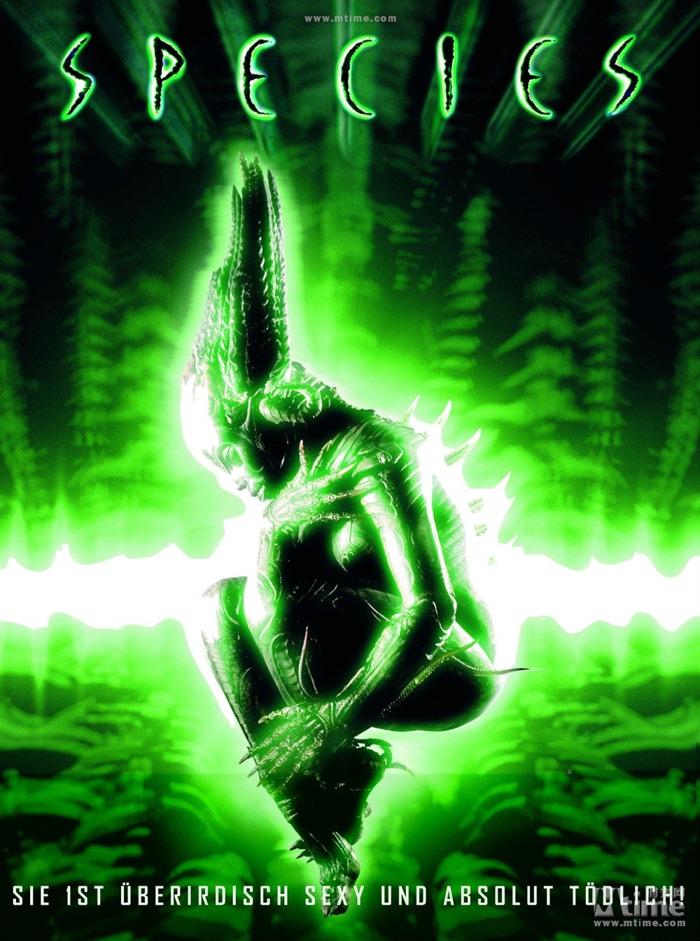 異種最新一部深度解析，展現(xiàn)影片獨特魅力與特色