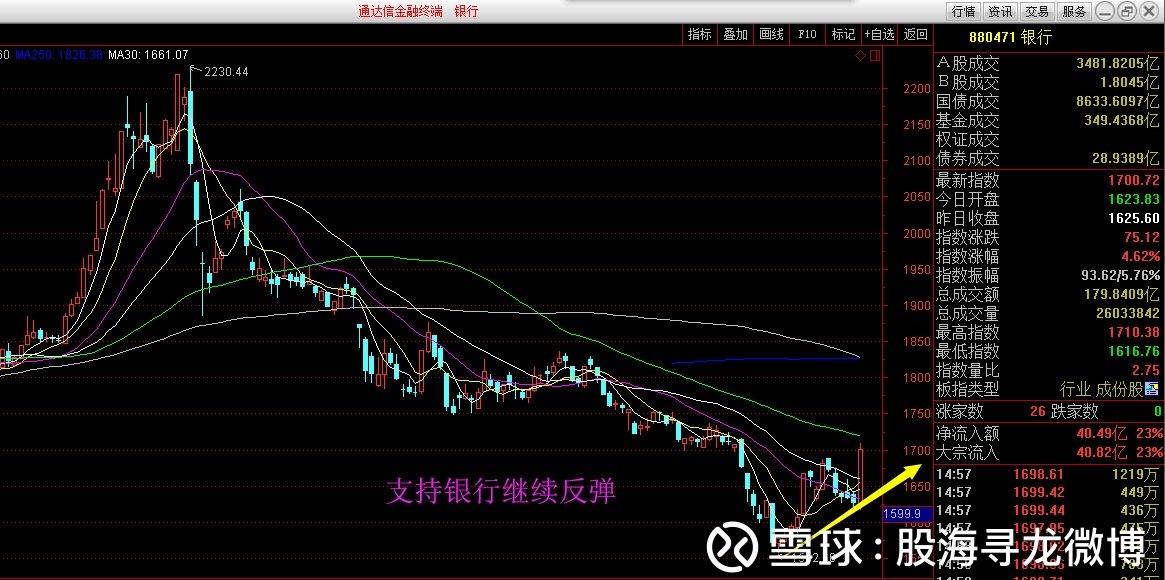 大金融股票最新行情,時(shí)代浪潮中的投資者焦點(diǎn)