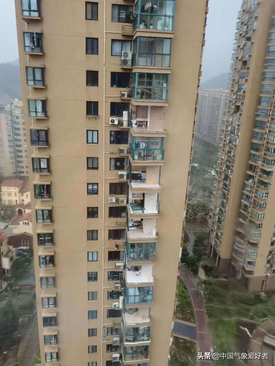 臺風(fēng)黑格最新動態(tài)更新,最新消息匯總