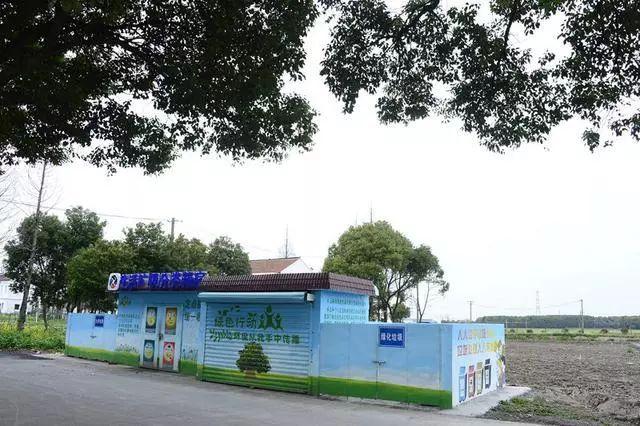 最新政策垃圾分類，小巷中的綠色奇遇之路